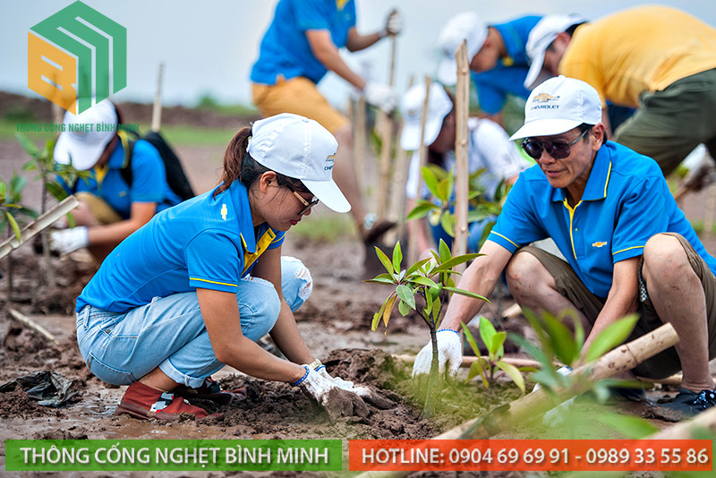 Trách nhiệm bảo vệ môi trường gồm những gì?