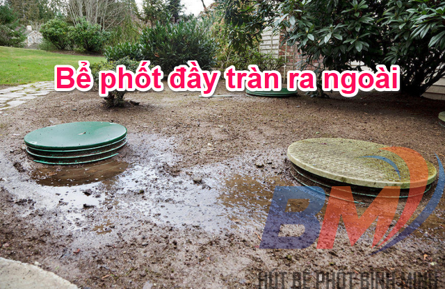 Bể phốt bị tràn ra ngoài