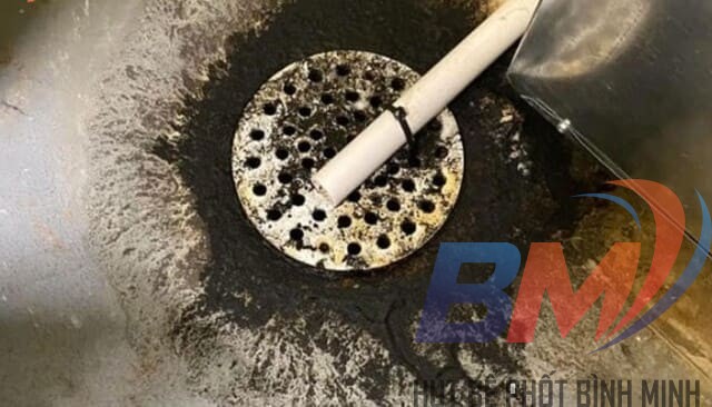 Dấu hiệu cống nghẹt: nước trào ngược và mùi hôi kéo dài